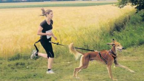 Sophia Stahl und Hund Daaru beim Geländelauf beim Turnier des HSV Bachtal-Syrgenstein.  