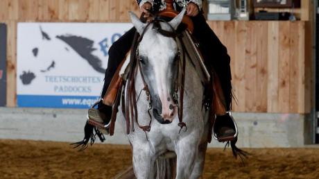 Eine Herausforderung für Ross und Reiter ist das Quarter-Horse-Turnier in Thierhaupten. 
