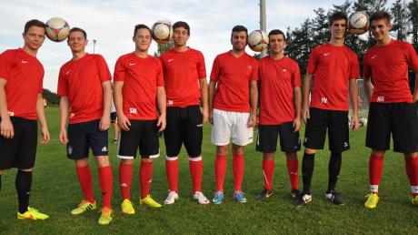 Vier Brüderpaare stellen den Großteil der Mannschaft des TSV Welden. Von links Alex und Tobias Both, Stefan und Tobias Maier, Marco und Marcel Montazem sowie Kilian und Moritz Vermeulen. 
