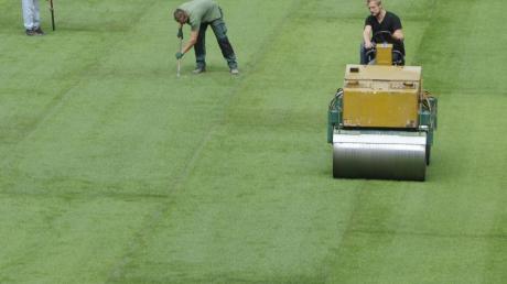 Hat mit den Verhältnissen im eigenen Garten nichts zu tun: Im Augsburger Fußballstadion wird ein neuer Rasen verlegt. 
