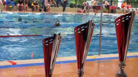 Um diese Pokale ging es beim „Jubiläumswettkampf“ der Schwimmabteilung des TSV Friedberg, der im renovierten Stadtbad vonstatten ging. 