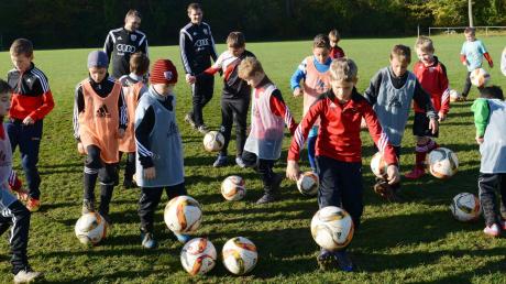 Ein kleiner Schritt in Richtung großer Traum: Die kleinen Kicker lernen unter den Augen ihrer Trainer beim FCI-Stützpunkt in Joshofen bereits frühzeitig, worauf es beim Fußballspielen ankommt.  	