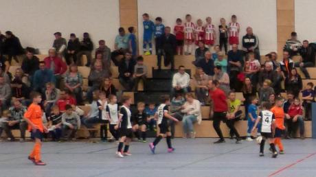 Gut gefüllt war die Meitinger Ballspielhalle bei den Jugendturniern des TSV Meitingen. 	