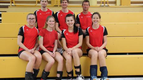 Der Pokalsieg in Gundelfingen rundete eine erfolgreiche Saison für Gosheims Volleyballer ab.  	