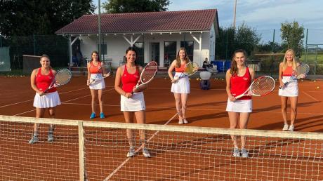 Hatte eine Saison mit viel Spaß am Tennis, die Damen-Mannschaft des SV Roggden. Von links: Jana Gleich, Anja Kaim, Lisa Kling, Laura Gaugler, Nicola Siebenstich und Ulrike Meitinger. 	