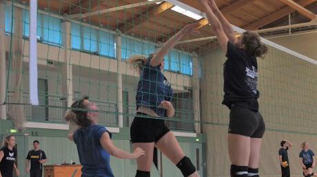 Die Volleyballerinnen der SG Aichach/Inchenhofen freuen sich auf den Saisonstart am Samstag. 	