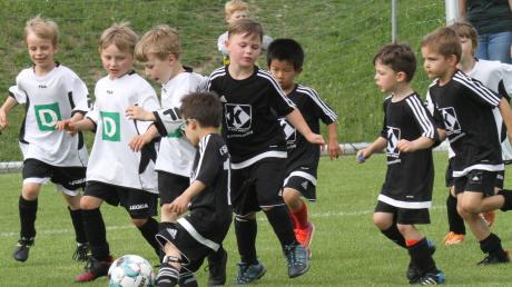 Die jüngsten (im Bild die G-Junioren des TSV Dasing (schwarz) und TSV Friedberg) waren beim Vatertagsturnier in Dasing erstmals am Ball.  