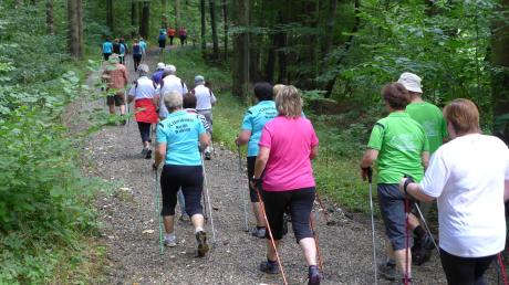 Mehr als 1600 Kilometer spulten die Breitensportler inmitten der Sommerhitze beim Nordic Walking-Tag in Ebershausen ab.