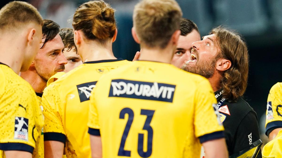 #Handball-Bundesliga: Rhein-Neckar Löwen sind Spitzenreiter