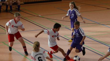 Es geht wieder in die Halle für die Nachwuchsfußballer aus dem Unterallgäu: Am Wochenende richtet der SC Unterrieden in Pfaffenhausen die Vorrundenturniere zur Allgäuer Meisterschaft aus. 