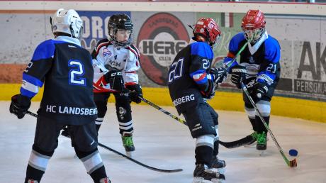 Beim Reisacher-Cup des HC Landsberg sind 16 Bambini-Teams am Start. 