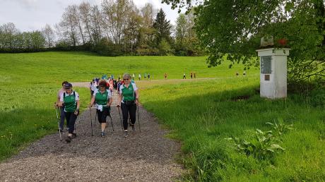 Die Strecke im nordwestlichen Bereich der Behlinger Flur zeigte sich wieder in voller Blüte. 302 Läuferinnen und Läufer gingen an den Start. 