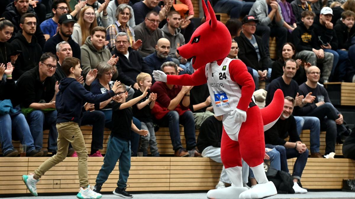 #Basketball: Kangaroos-Maskottchen sucht einen Namen