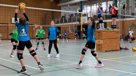 Eine kämpferisch starke Leistung brachte den U13-Volleyballerinnen des MTV Dießen am Ende Rang sieben beim Turnier in Germering ein. 