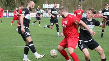 Nach langer Verletzungspause ist Mateo Duvnjak (links) wieder für den TSV Meitingen am Ball. Foto: Karin Tautz