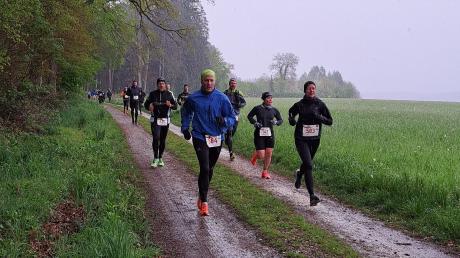 Das kalte Wetter hielt zahlreiche Sportlerinnen und Sportler nicht davon ab, beim Halbmarathon des SC Altenmünster durch drei Landkreise dabei zu sein. Hier laufen die Teilnehmer gerade entlang an einem Waldrand bei Baiershofen. 