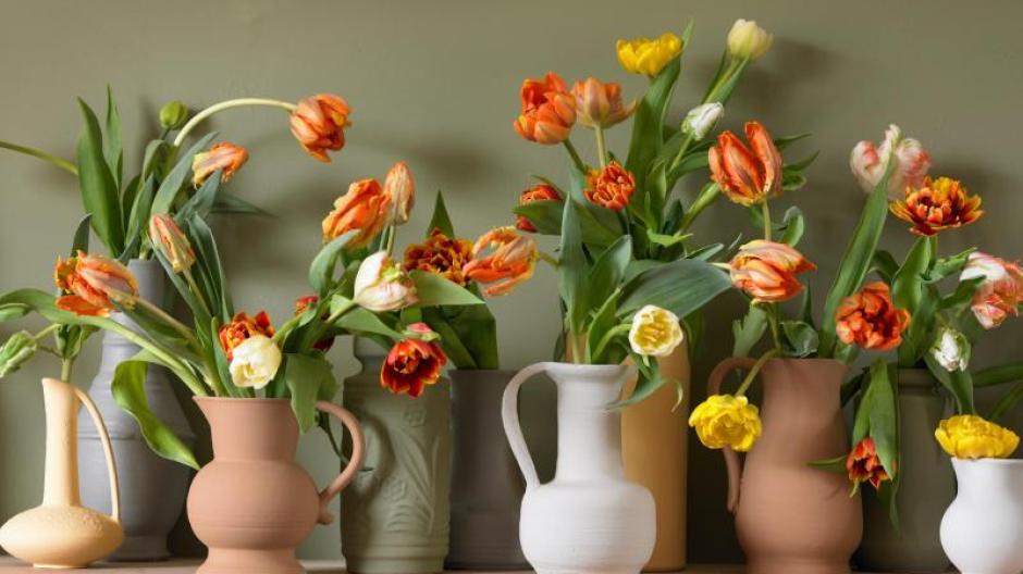 Wie Blumen In Der Vase Langer Halten