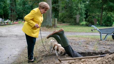 "Miss Merkel" stößt wieder einmal unverhofft auf einen Kriminalfall.