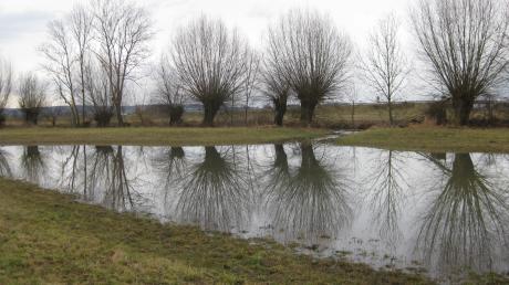 Das Bild zeigt eine der angelegten Senken an der Egau bei Schabringen. Hat der Fluss einen hohen Wasserspiegel, so füllt sich die Senke über den Zulauf, der in der Mitte des Bildes zu sehen ist. Laut dem Kreisverband für Gartenbau und Landespflege ein „kleiner Flutpolder“.  	