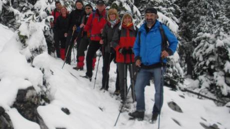 Praxis-Kurs in den schneebedeckten Bergen. 
