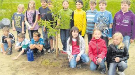 Der Gartenbauverein Binswangen schenkte jedem Kommunionkind einen Apfelbaum. 