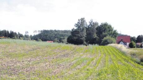 Auf diesem Acker bei Rischgau wurde Klärschlamm aufgetragen. Viele der 125 Einwohner im Villenbacher Ortsteil beklagten sich über die intensive Geruchsbelästigung in den vergangenen Tagen. 