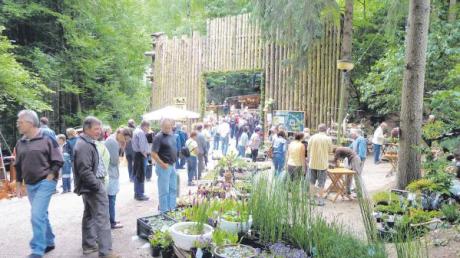 Idyllisch im Wald gelegen ist der Burgmarkt in Bocksberg jedes Jahr ein Anziehungspunkt für Gartenfreunde und Liebhaber kreativer Idee.  