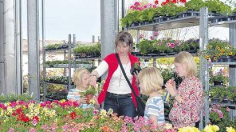Familie Schwenda aus Westendorf sucht Blumen für das Spielehaus der Kinder. 