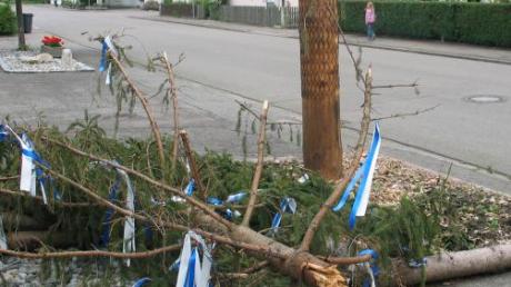 Das Unwetter am vergangenen Donnerstag hat die Krone des Maibaums in Lauterbach nicht überlebt.  
