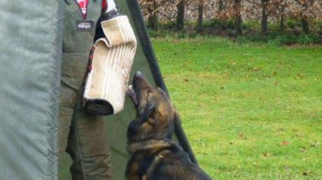 Unser Bild zeigt den Schutzdiensthelfer Vincente Arevalo mit Hund „Nork“.  

