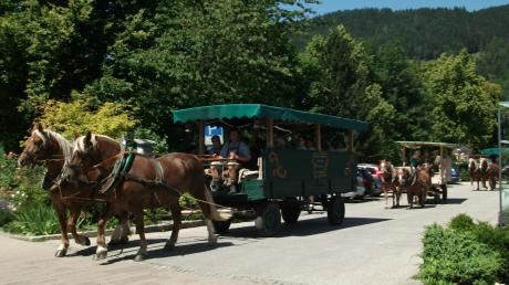 Eine fröhliche Fahrt in vier Kutschen gehörte mit zum Ausflug des Wertinger Frauenbundes.  
