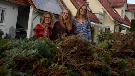 Bilderrätselgewinnerin Kirsten Weber (links) mit ihren Kindern Joana (Mitte) und Vanessa im Garten in Höchstädt. Im Vordergrund die frisch abgesägt Thujahecke. Der Gewinn in Höhe von 1000 Euro wird in eine Mauer investiert. 