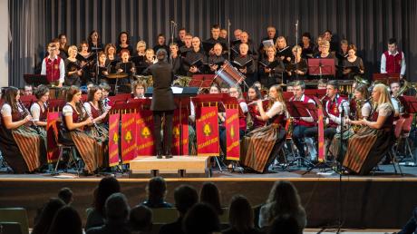 Der Musikverein Zusamaltheim und der Kirchenchor betonten bei ihrem Jahreskonzert die Unentbehrlichkeit der Musik.  	
