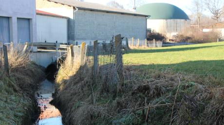 Es stinkt nicht mehr, und das Wasser ist wieder sauber. Nach einem erneuten Zwischenfall an der Roggdener Biogasanlage ist der Aufbach gereinigt worden. Doch das Leck, das die Verunreinigung verursacht hat, ist immer noch nicht gefunden.  	
