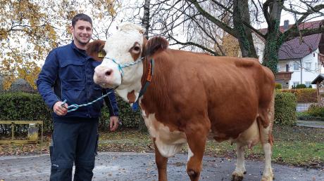 Im Betrieb von Familie Eberle aus Mörslingen erreichten im vergangenen Jahr gleich zwei Kühe die herausragende Lebensleistung von 100.000 Kilogramm Milch. Beide stammen aus derselben Kuhfamilie. Im Bild Michael Eberle mit Gisma, einer 13-jährigen Manitoba-Tochter.  	