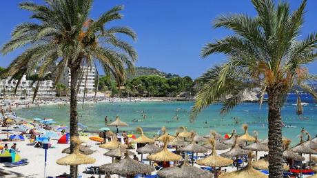 Urlauber erholen sich in der Badebucht von Paguera auf der spanischen Baleareninsel Mallorca. 