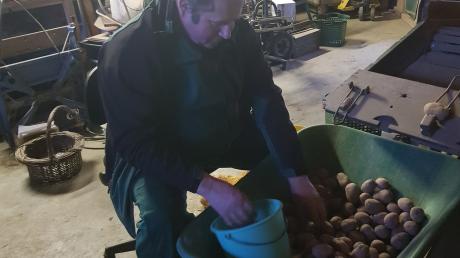 Lorenz Hanfbauer beim Kartoffeln sortieren im Winter 2019 auf dem Biohof Hanfbauer.