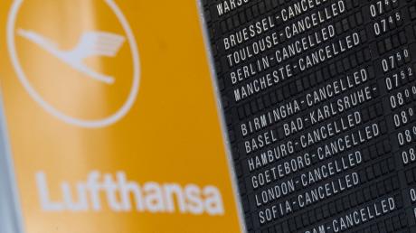 Am Mittwoch streikt das Lufthansa-Kabinenpersonal am Flughafen München.