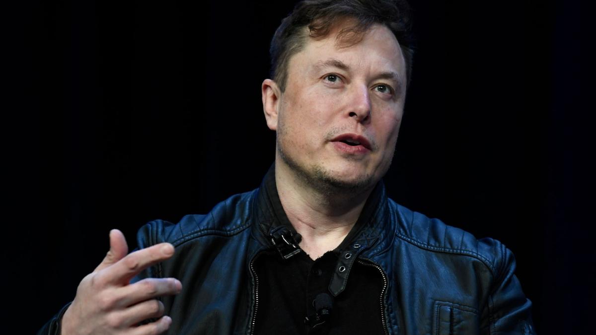 Elon Musk is a genius prone to insanity