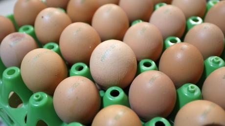 Unbekannte haben in Lengenfeld eine größere Anzahl Eier gestohlen.
