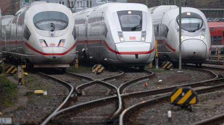 Die Linkspartei setzt sich mit einem neuen Konzept für eine Verbesserung des Zugverkehrs in Europa ein. 