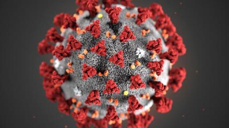 Diese von den Centers for Disease Control and Prevention (CDC) im Januar 2020 zur Verfügung gestellte Illustration zeigt das Coronavirus (2019-nCoV).
