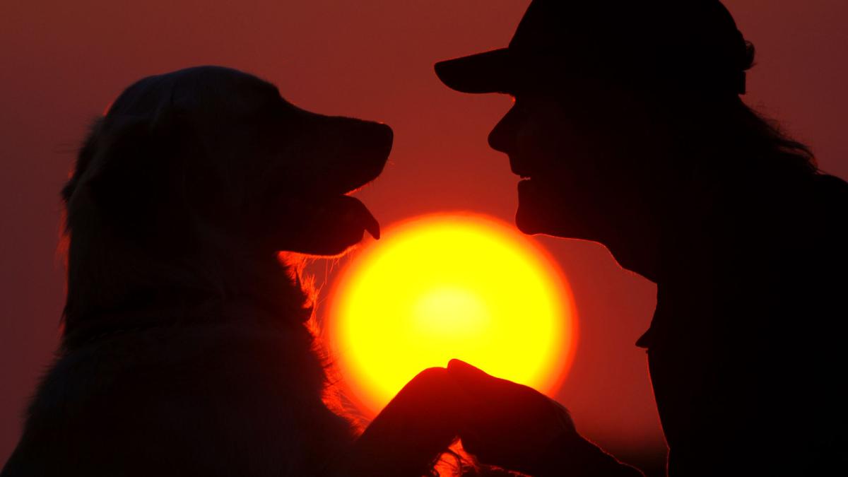 #Studie: Auch Hunde weinen vor Glück