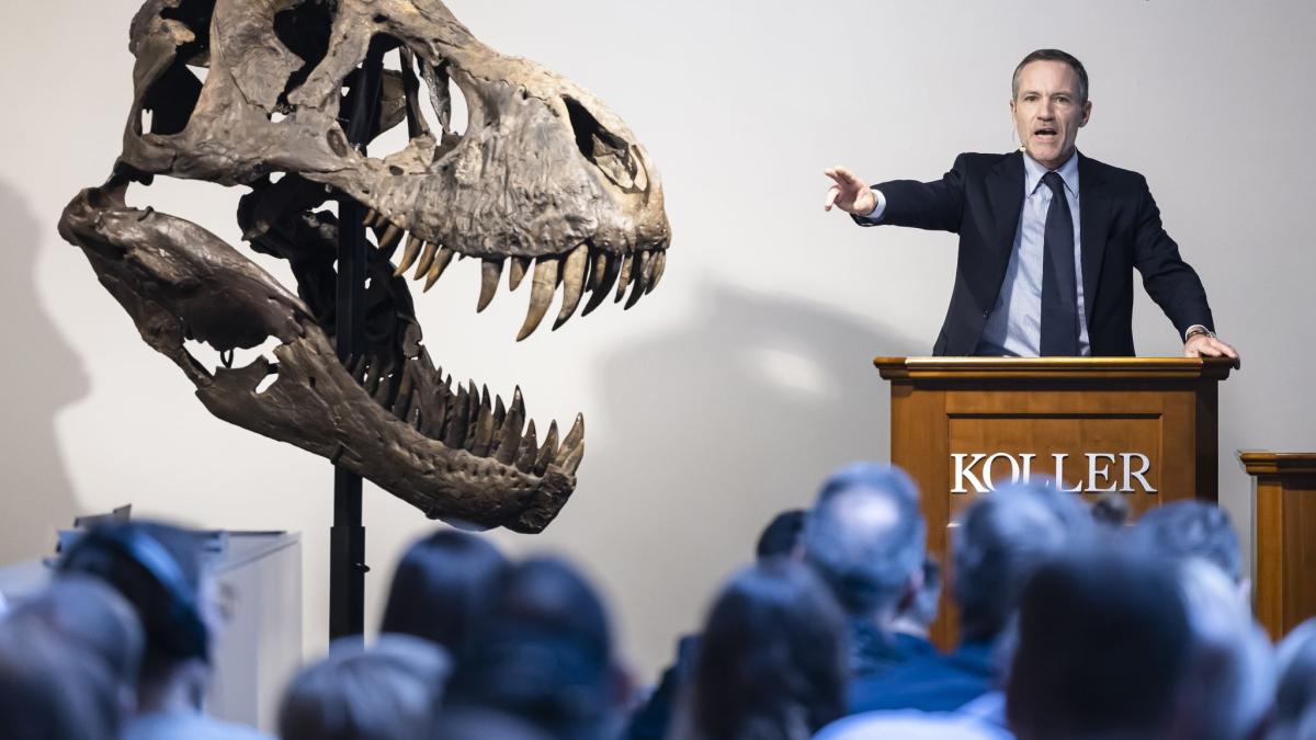 #Seltenes T. rex-Skelett bleibt nach Versteigerung in Europa