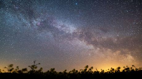 Der Sternenhimmel leuchtet über einem Rapsfeld. Laut Nasa könnte sich in den kommenden Monaten ein Himmelsspektakel ereignen - eine sogenannte Nova-Explosion.